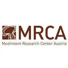 braintec-odoo-reference-MRCA