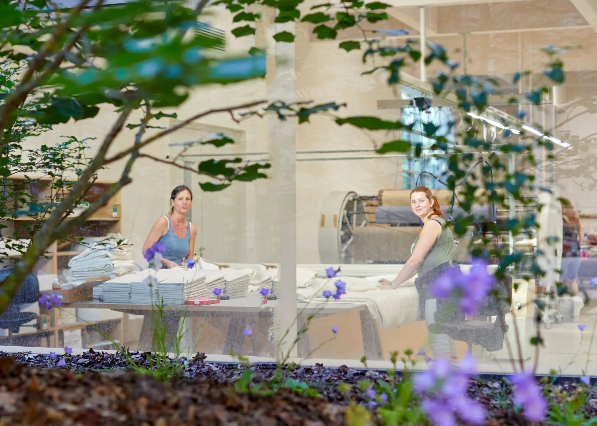 braintec-Odoo-success-Storys-Grüne-Erde