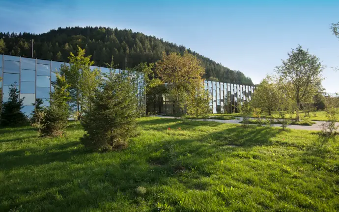 braintec-Odoo-success-story-Gruene-Erde